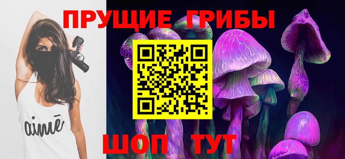 Псилоцибиновые грибы Малоярославец
