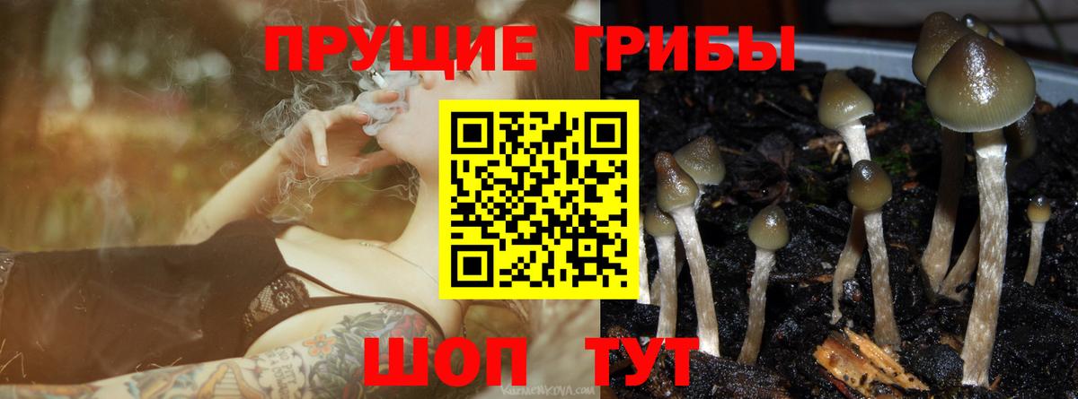 Малоярославец  Галлюциногенные грибы мухоморы  даркнет сайт  Вход с VPN 